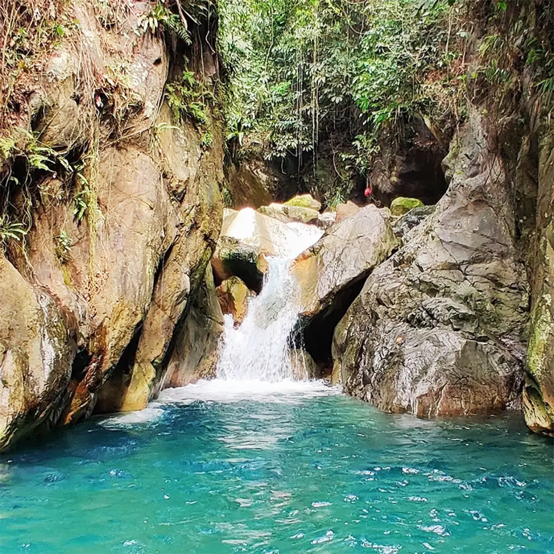 Petualangan Hutan & Air Terjun Leuwi Hejo